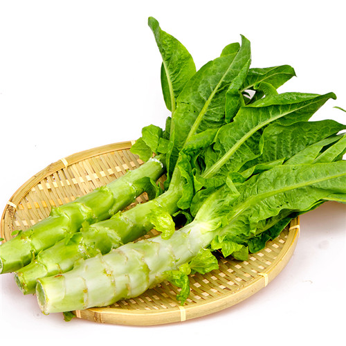 萵苣.jpg
