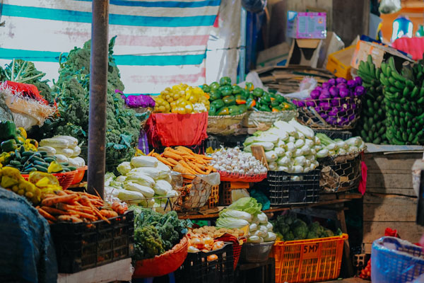 各大機構(gòu)蔬菜配送流程