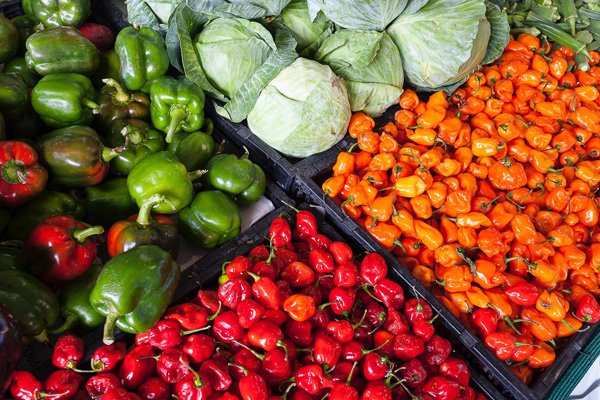 低熱量的蔬菜有哪些？