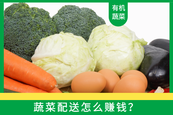 蔬菜配送怎么賺錢(qián)？