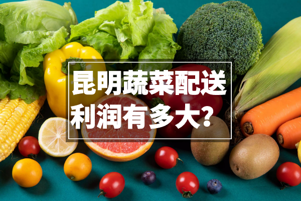 昆明蔬菜配送利潤有多大？