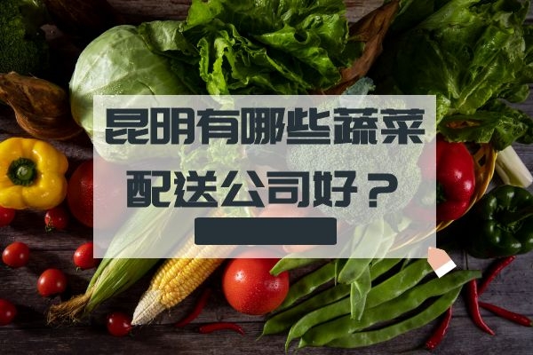 昆明有哪些蔬菜配送公司好？