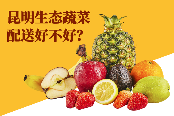 昆明生態(tài)蔬菜配送好不好？